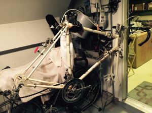 11709762_10152887687580025_6745778707475899578_o